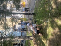 ������� ������������� ���: ������, �������, ����������