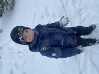 ������� ������� ������